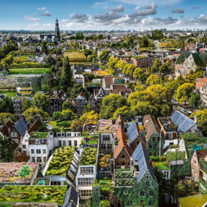 Amsterdam Tricycle Sustainabilty